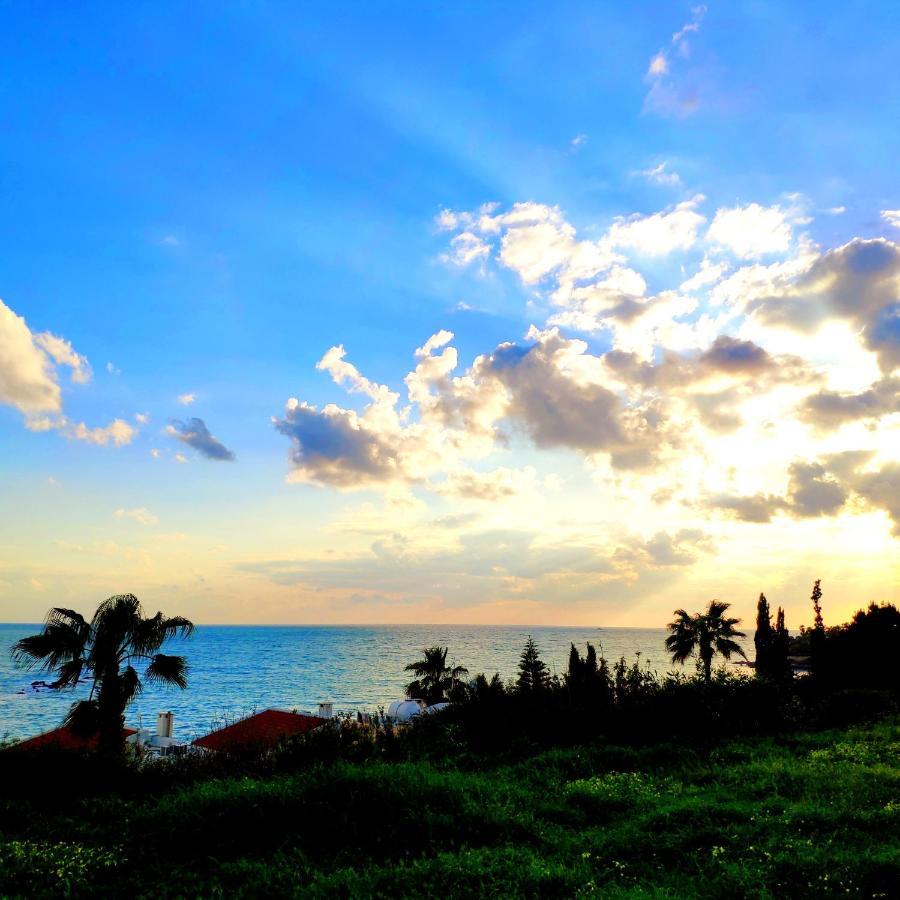 Apartment Sweet Coral Bay Sea View 3 Stocks Paphos *